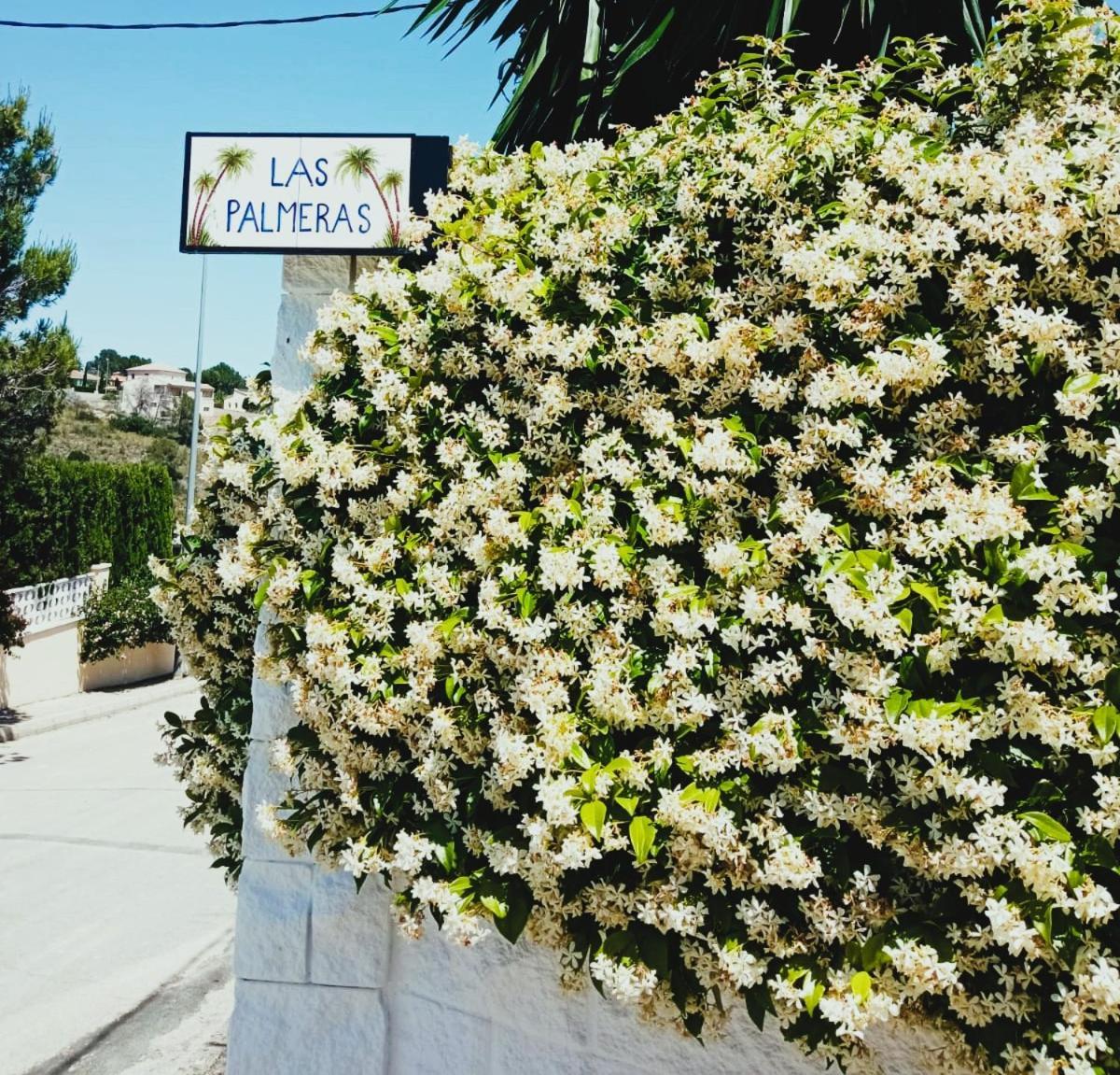 Las Palmeras Alberic 외부 사진